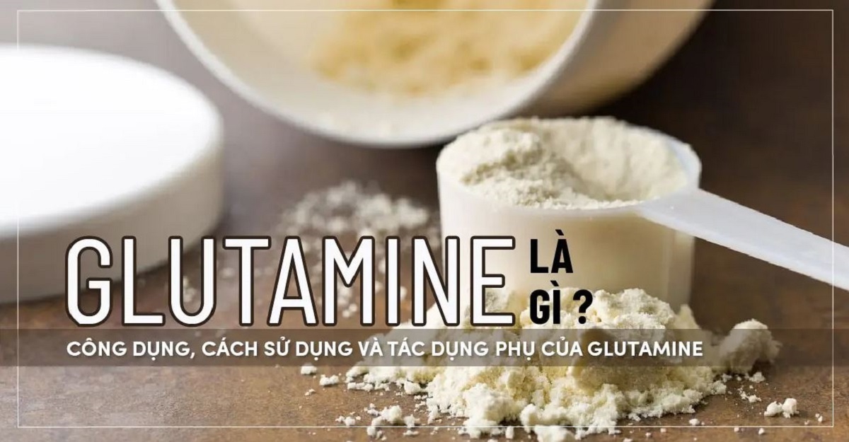 Glutamine là gì? Glutamine có tác dụng gì? Cách bổ sung?